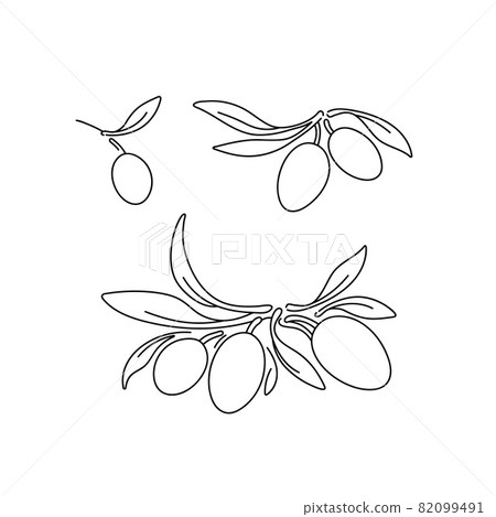 Olive green set. Vector linear logo. Graphic sign 82099491