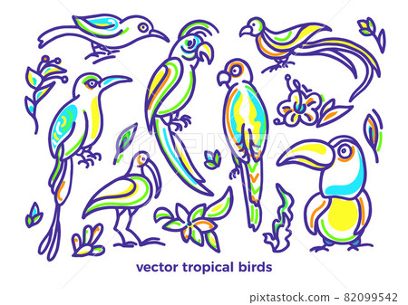Vector set of wild tropical bird 82099542