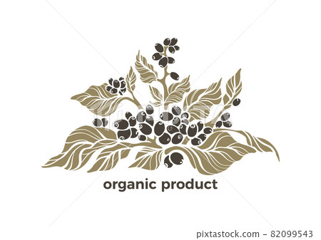 Vector organic symbol. Healthy product. Coffee tree 82099543