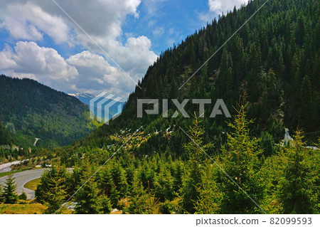 Dense green forest in the highlands and a road. Dense green forest in the highlands and a road. 82099593