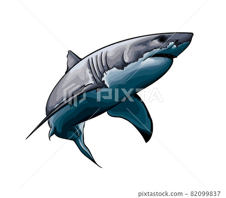 Great white shark from a splash of watercolor, colored drawing, realistic 82099837