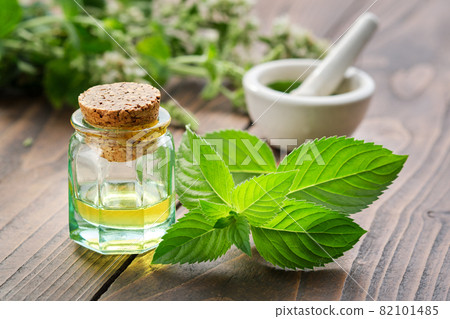 Bottle of mint essential oil and peppermint leaves. Mortar of spearmint leaves and blossom Mentha piperita medinal plants on background. Bottle of mint essential oil and peppermint leaves. Mortar of spearmint leaves and blossom Mentha piperita medinal plants on background. 82101485