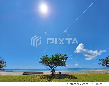 Okinawa Ishigaki Island Cobalt Blue Sea Okinawa Ishigaki Island Cobalt Blue Sea 82102469