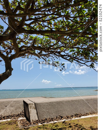 Okinawa Ishigaki Island Cobalt Blue Sea Okinawa Ishigaki Island Cobalt Blue Sea 82102474