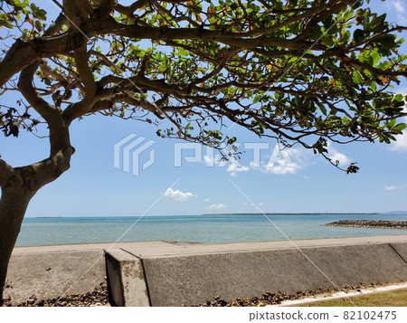 Okinawa Ishigaki Island Cobalt Blue Sea Okinawa Ishigaki Island Cobalt Blue Sea 82102475
