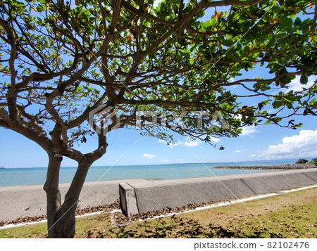 Okinawa Ishigaki Island Cobalt Blue Sea Okinawa Ishigaki Island Cobalt Blue Sea 82102476