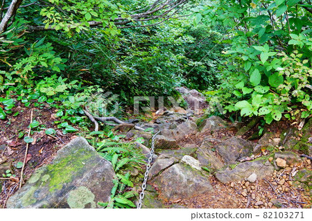 Mt. Iide Dainichisugi Course from Zanghe Sakagami 82103271