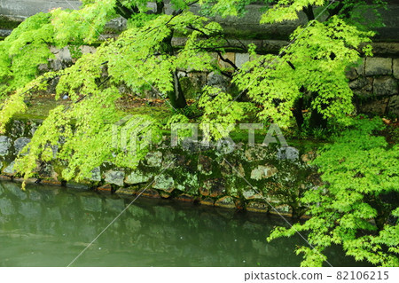 Kurashiki Aichi District 82106215