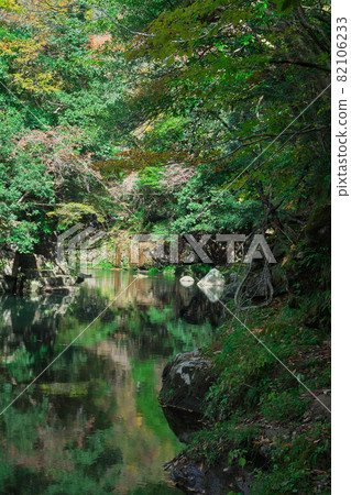《Okayama Prefecture》 Autumn leaves, scenery of Okutsu valley [November] 82106233