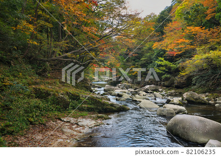 《岡山縣》紅葉、奧津溪谷風光【11月】 《岡山縣》紅葉、奧津溪谷風光【11月】 82106235