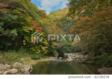 《岡山縣》紅葉、奧津溪谷風光【11月】 《岡山縣》紅葉、奧津溪谷風光【11月】 82106236