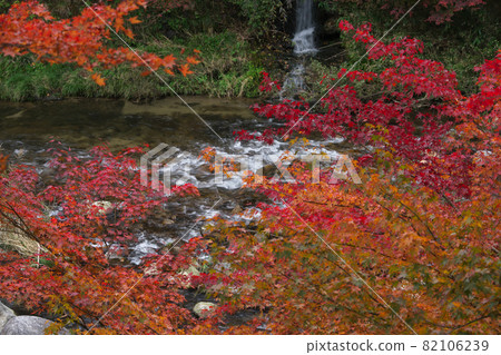 《岡山縣》紅葉、奧津溪谷風光【11月】 《岡山縣》紅葉、奧津溪谷風光【11月】 82106239