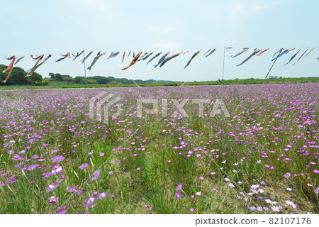 Konosu Flower Festival Konosu Flower Festival 82107176