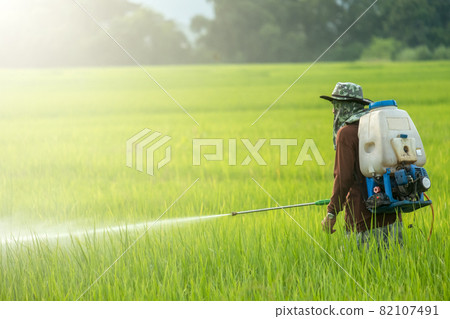 people spraying pesticides in farm with copy space. people spraying pesticides in farm with copy space. 82107491