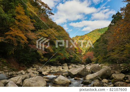 《岡山縣》紅葉、奧津溪谷風光【11月】 82107600