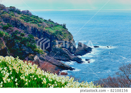 Narcissus Land 82108156
