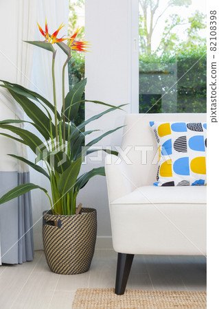 Modern design of living room with yellow,blue and orange pillow on sofa with green plant pot. Modern design of living room with yellow,blue and orange pillow on sofa with green plant pot. 82108398