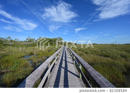 Beautiful summer cloudscape over boardwalk in Everglades National Park, Florida. Beautiful summer cloudscape over boardwalk in Everglades National Park, Florida. 82108584