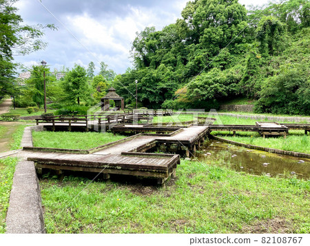 Flower iris garden path Flower iris garden path 82108767