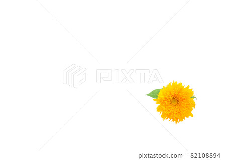 Sunflower summer memories Van Gogh sunflower non-pollen high-branch sunflower Sunflower summer memories Van Gogh sunflower non-pollen high-branch sunflower 82108894