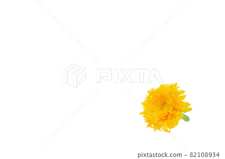 Sunflower summer memories Van Gogh sunflower non-pollen high-branch sunflower 82108934