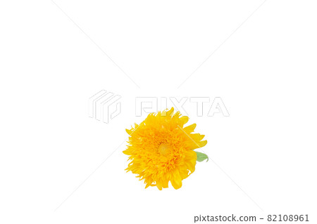 Sunflower summer memories Van Gogh sunflower non-pollen high-branch sunflower 82108961