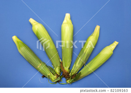 Five fresh corn cobs on a blue background Five fresh corn cobs on a blue background 82109163