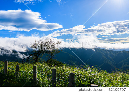 [Okaya City, Nagano Prefecture] Takabotchi Plateau 82109707