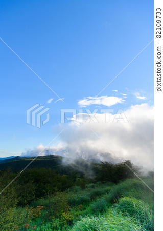 [Okaya City, Nagano Prefecture] Takabotchi Plateau 82109733