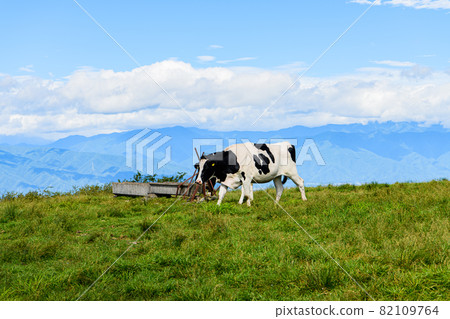 [Okaya City, Nagano Prefecture] Takabotchi Plateau 82109764