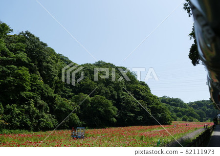 久里濱花卉公園觀音崎 久里濱花卉公園觀音崎 82111973