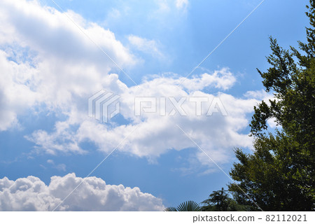 Blue sky, white clouds and green trees Blue sky, white clouds and green trees 82112021