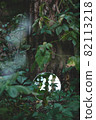 Round mirror in dark green forest. Abstract trendy image, close to nature concept. 82113218