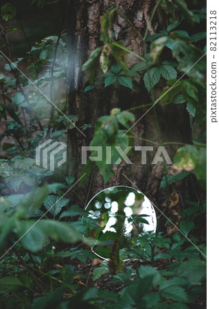 Round mirror in dark green forest. Abstract trendy image, close to nature concept. 82113218