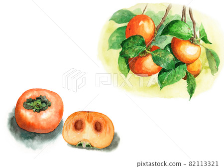 One and a half analog watercolor persimmon nuts and persimmon tree branches 82113321