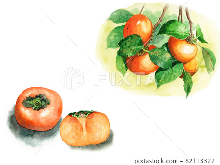 One and a half analog watercolor persimmon nuts and persimmon tree branches One and a half analog watercolor persimmon nuts and persimmon tree branches 82113322