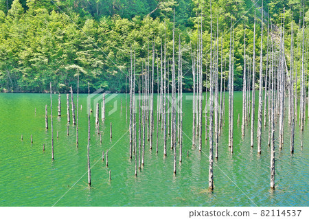 [Otaki Village Natural Lake] Otaki Village, Kiso District, Nagano Prefecture 82114537