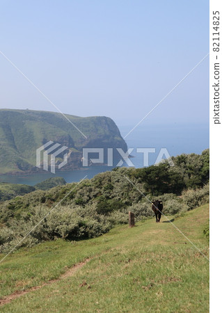 Kuniga Coast of Nishinoshima, Oki Islands Kuniga Coast of Nishinoshima, Oki Islands 82114825