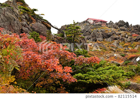 秋季葉子的Mt. Hayate池塘 82115514