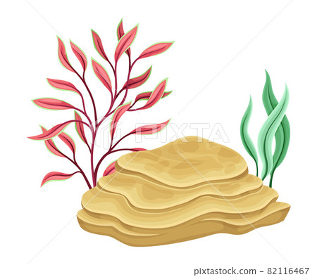 Sea Marine Coral Deep on Ocean Bottom and Stone Vector Composition 82116467