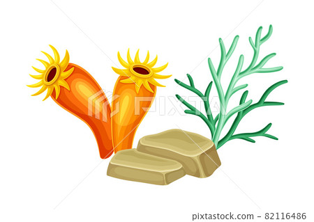Sea Marine Coral Deep on Ocean Bottom and Stone Vector Composition Sea Marine Coral Deep on Ocean Bottom and Stone Vector Composition 82116486