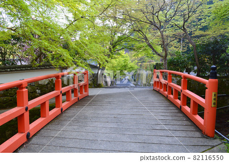 The small diameter from the fresh green Kyoto Ohara no Sato Sanzen-in Temple to Jikko-in Temple is beautiful with blue maple 82116550