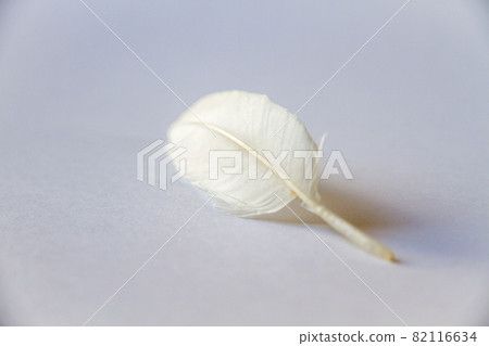 White feather on light background 82116634