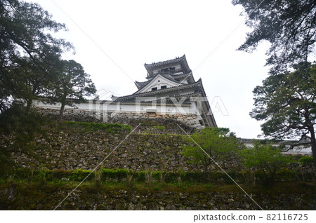 Kochi Castle (Kochi City, Kochi Prefecture) 82116725