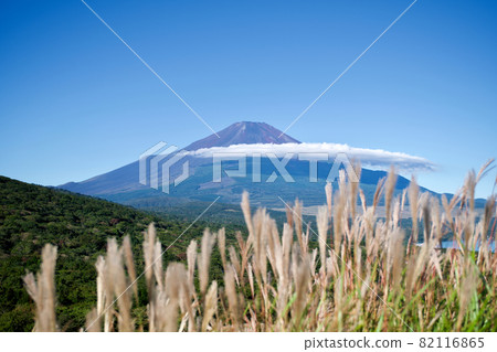 [Yamanashi] Lake Yamanaka and Mt. Fuji seen from the panoramic stand (autumn) 82116865