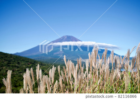 [山梨] 從全景看台上看到的山中湖和富士山（秋季） 82116866