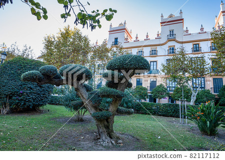 Home of the five towers, Spain square, Cadiz, Andalusia, Spain Home of the five towers, Spain square, Cadiz, Andalusia, Spain 82117112