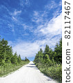 白貝殼路（北海道稚內市） 82117467