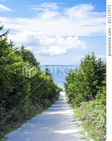 White Seashell Road (Wakkanai City, Hokkaido) 82117471
