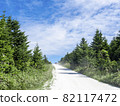 白貝殼路（北海道稚內市） 82117472
